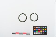 Foto von Bronzering (NHMW-PRAE-024172a)
